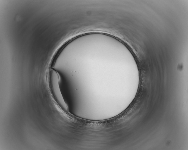 X0000097661511200803211907