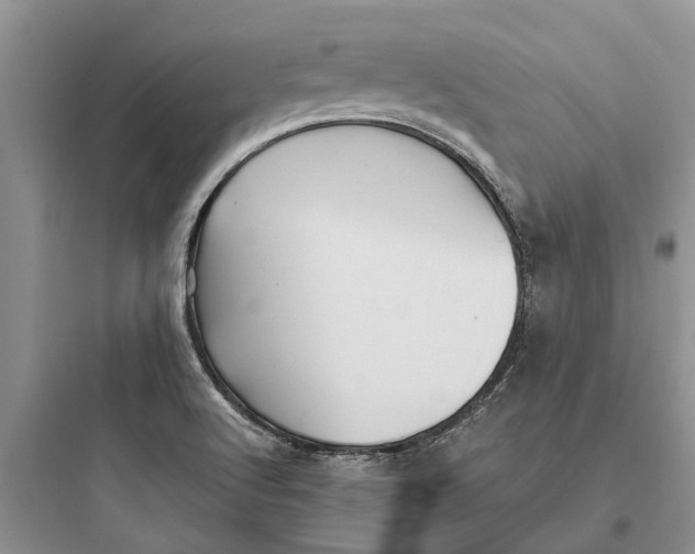 X0000097661512200803211907