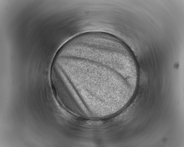 X0000097661513200803211907