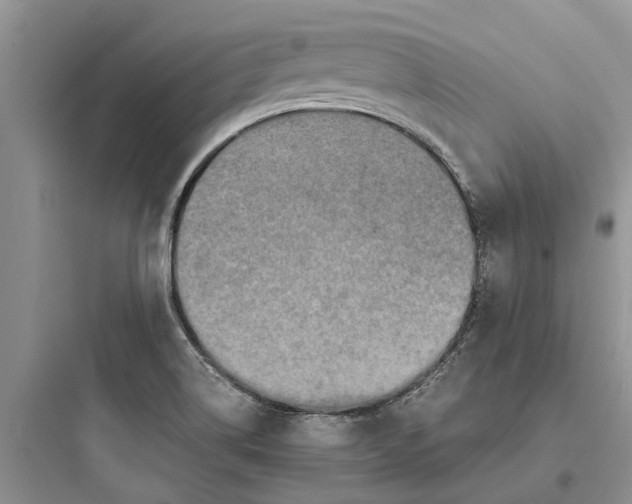X0000097661514200803211907