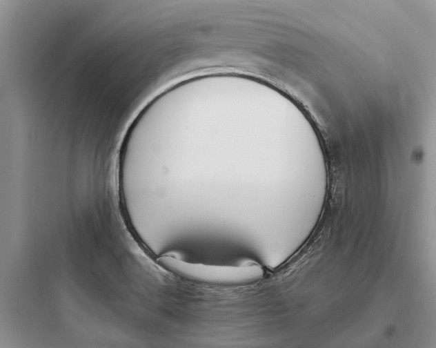 X0000097661516200803211907