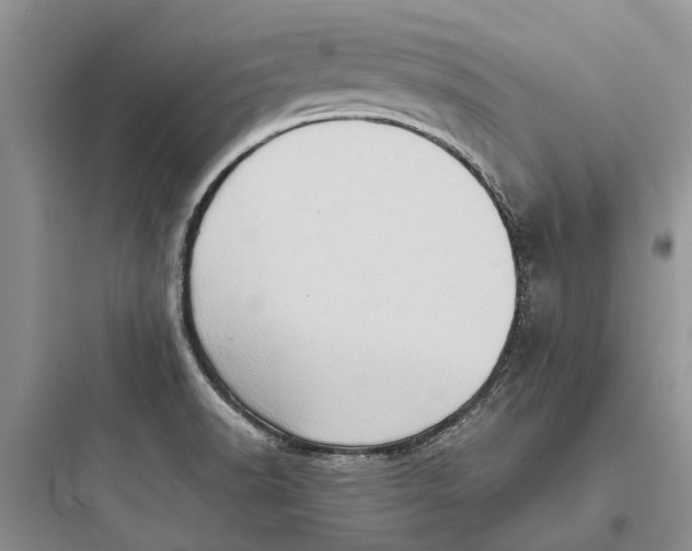 X0000097661518200803211907