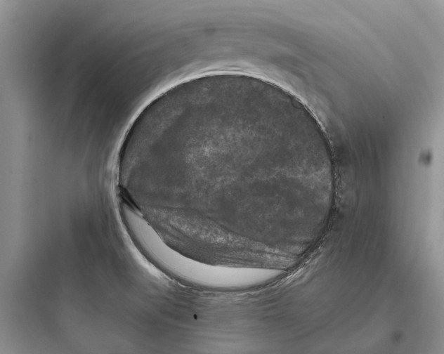X0000097661519200803211907