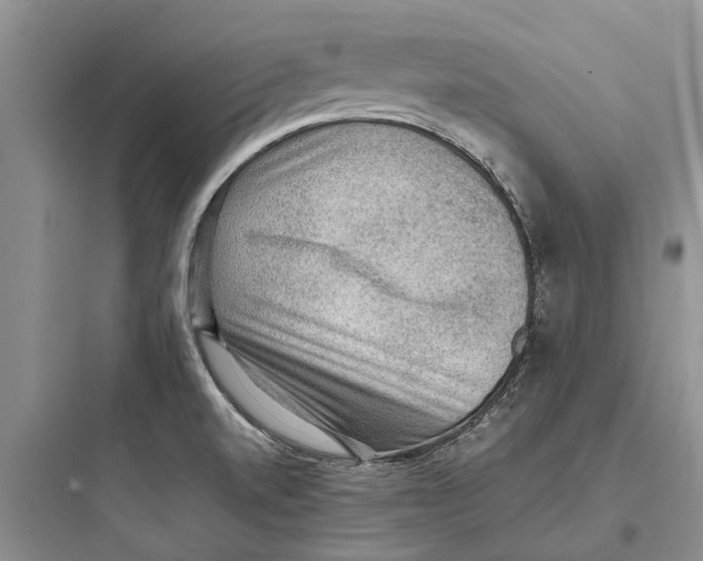 X0000097661520200803211907