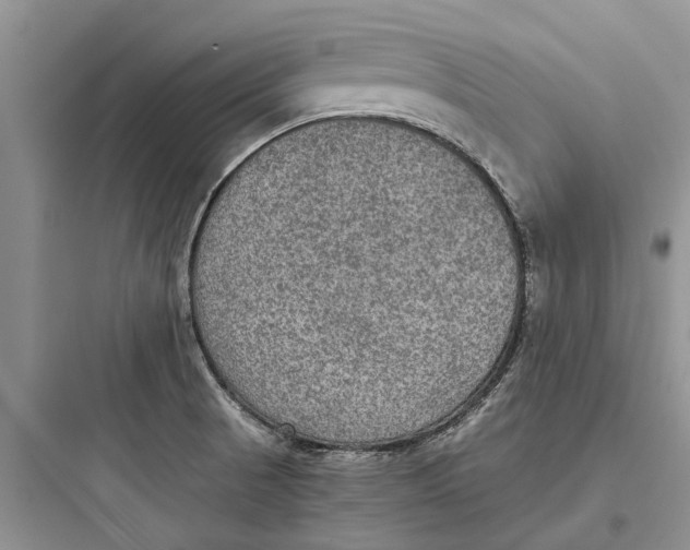 X0000097661521200803211907