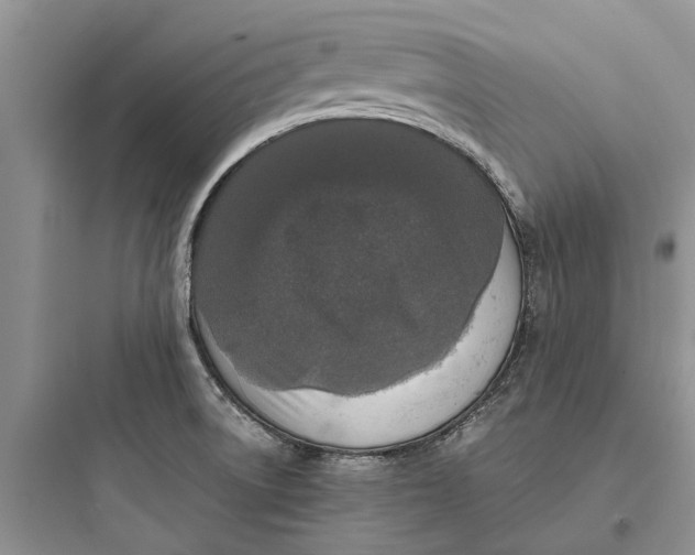 X0000097661522200803211907