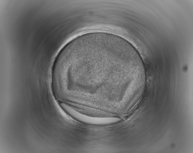 X0000097661523200803211907