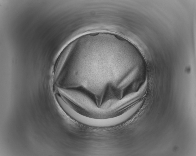 X0000097661524200803211907