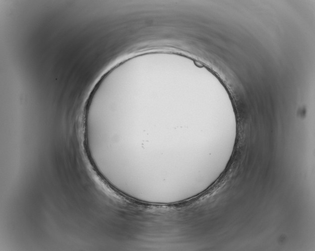 X0000097661526200803211907