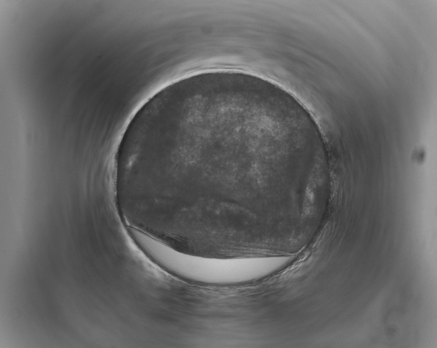 X0000097661527200803211907
