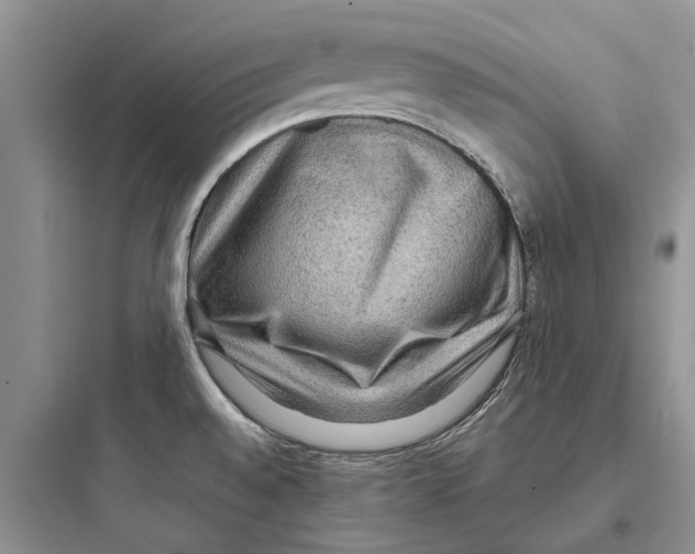 X0000097661528200803211907