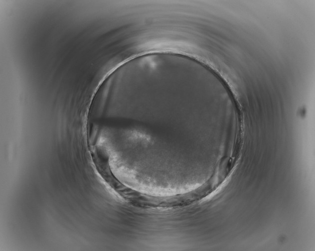 X0000097661529200803211908