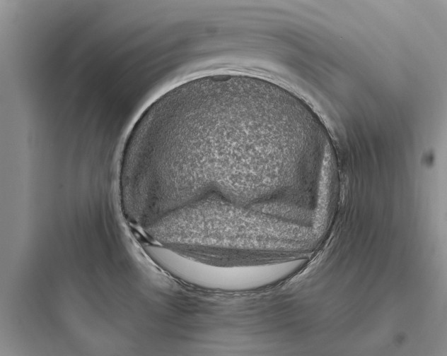 X0000097661530200803211908