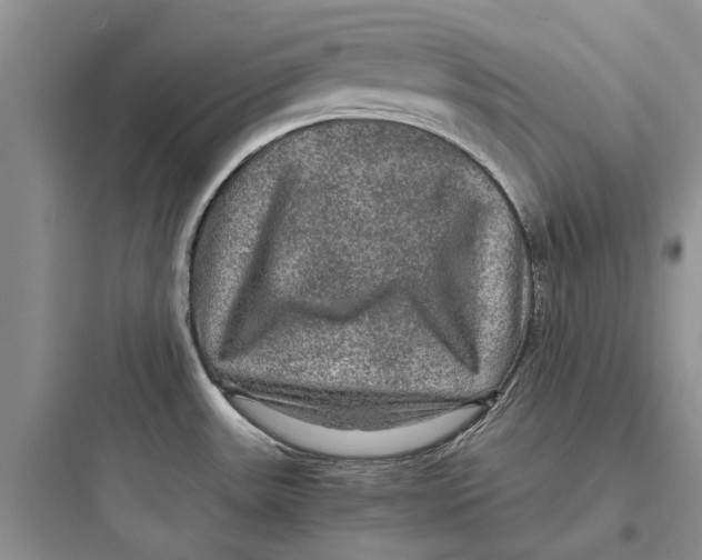X0000097661531200803211908