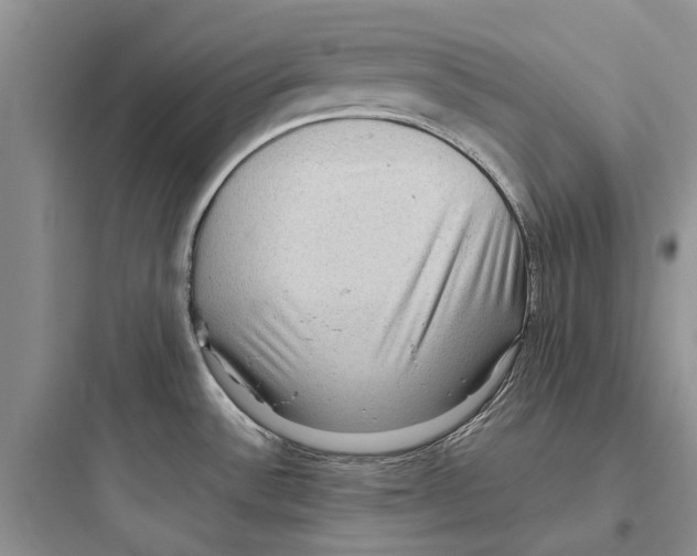 X0000097661532200803211908
