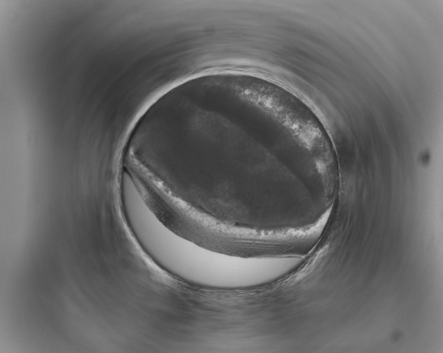 X0000097661533200803211908