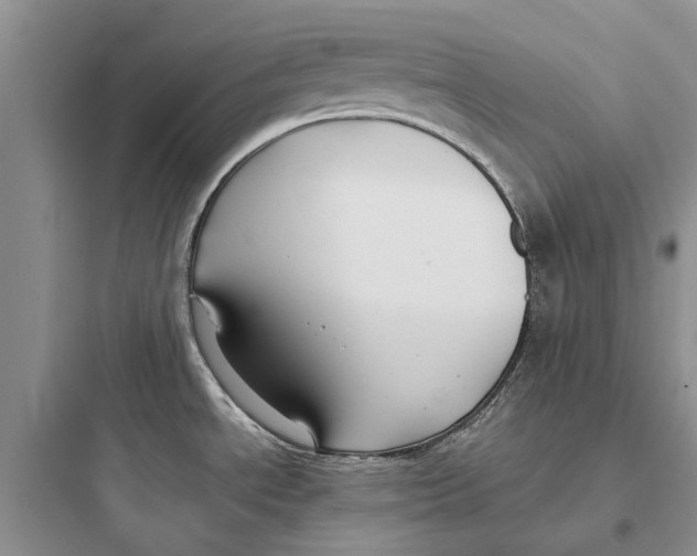 X0000097661534200803211908