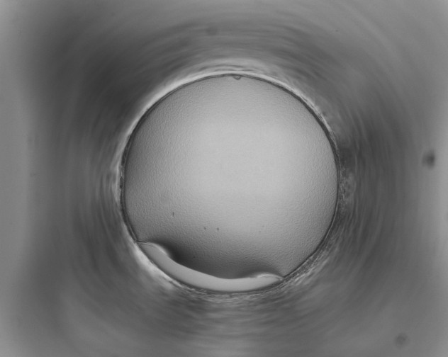 X0000097661535200803211908