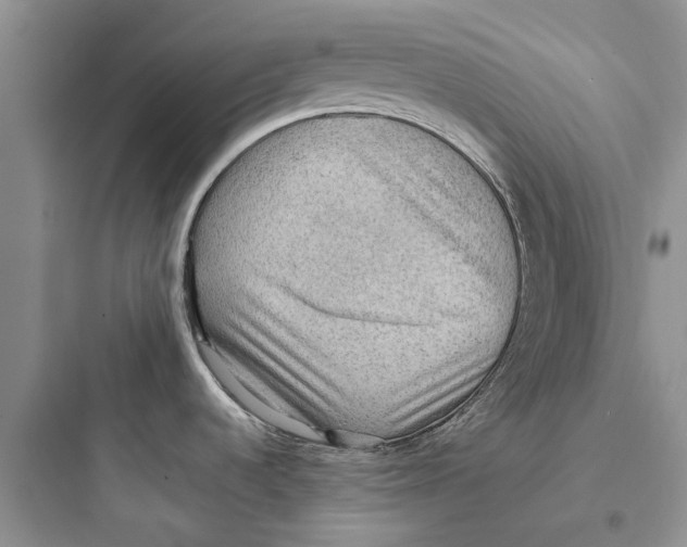 X0000097661536200803211908