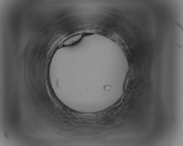 X0000097660001200803281001