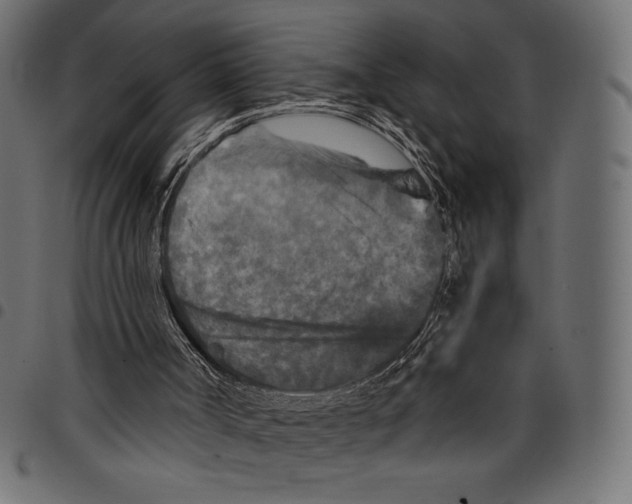 X0000097660002200803281001