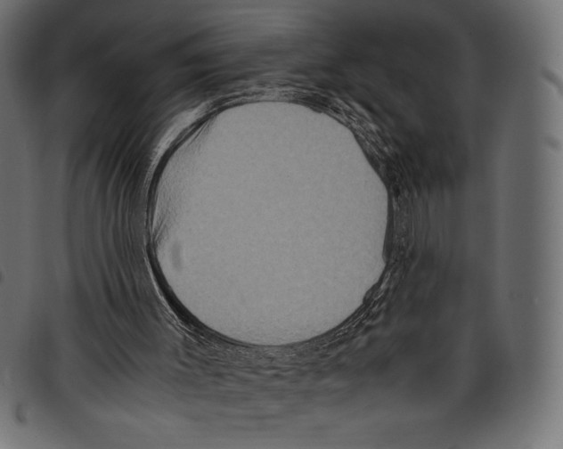 X0000097660003200803281001
