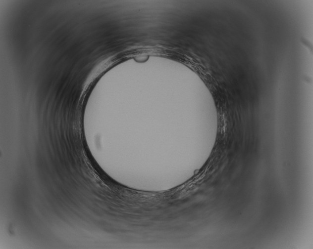 X0000097660004200803281001