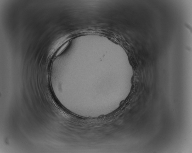 X0000097660005200803281001