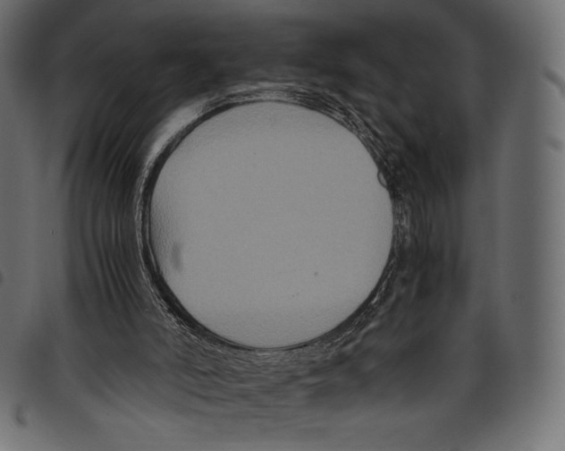 X0000097660006200803281001