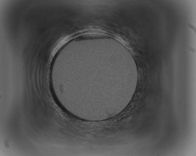 X0000097660007200803281001
