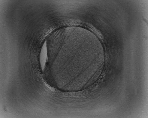 X0000097660009200803281001