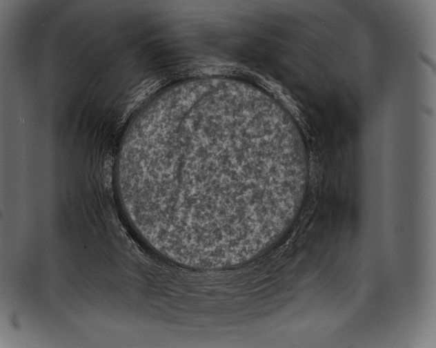 X0000097660010200803281001