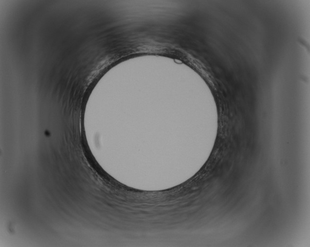 X0000097660011200803281001