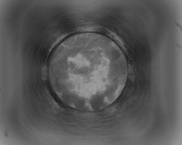 X0000097660012200803281001