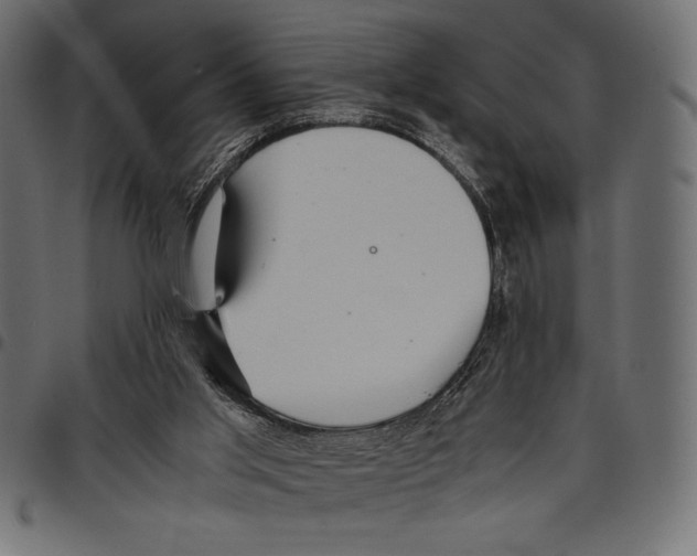 X0000097660013200803281001