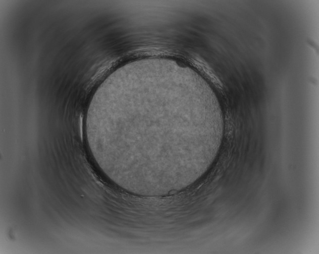 X0000097660014200803281001