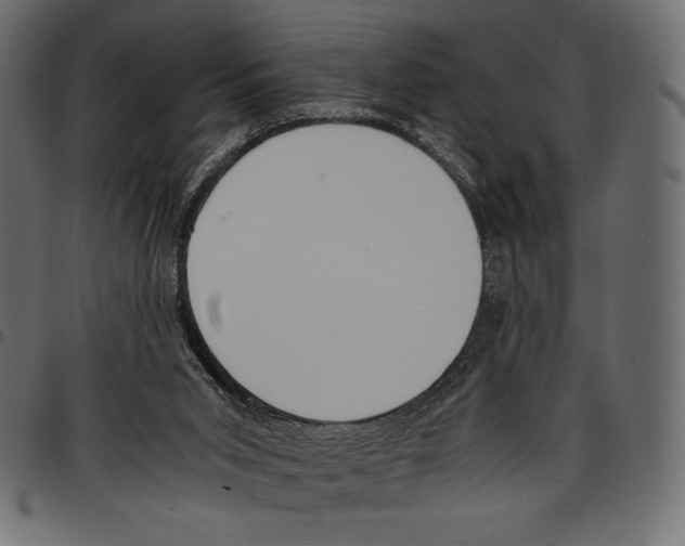 X0000097660015200803281001
