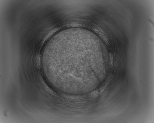 X0000097660016200803281001