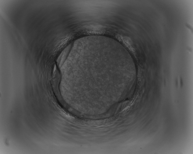 X0000097660017200803281001