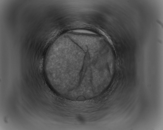 X0000097660018200803281001