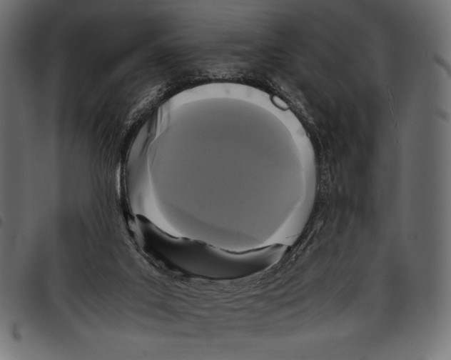 X0000097660019200803281001