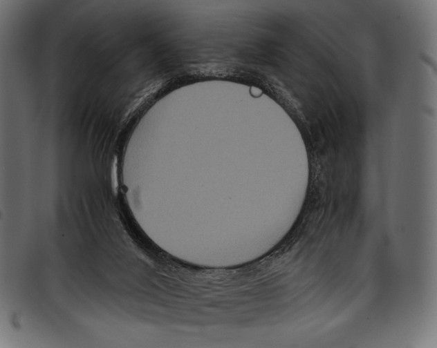 X0000097660020200803281001
