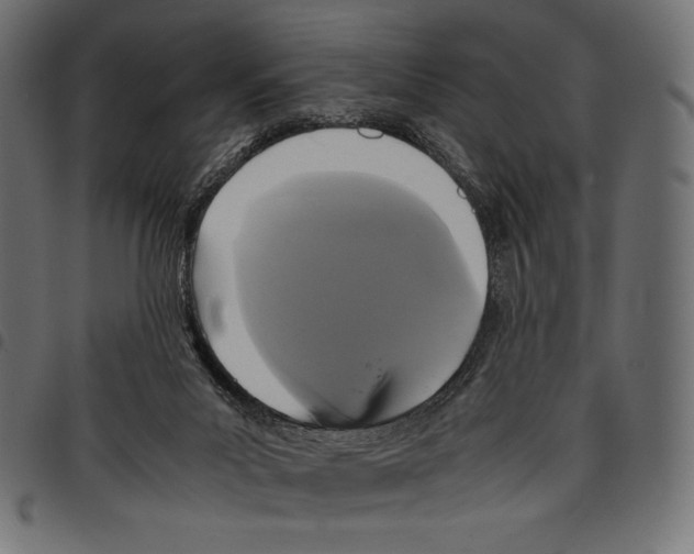 X0000097660023200803281001