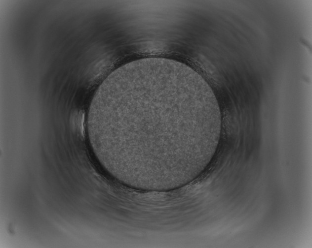 X0000097660024200803281001