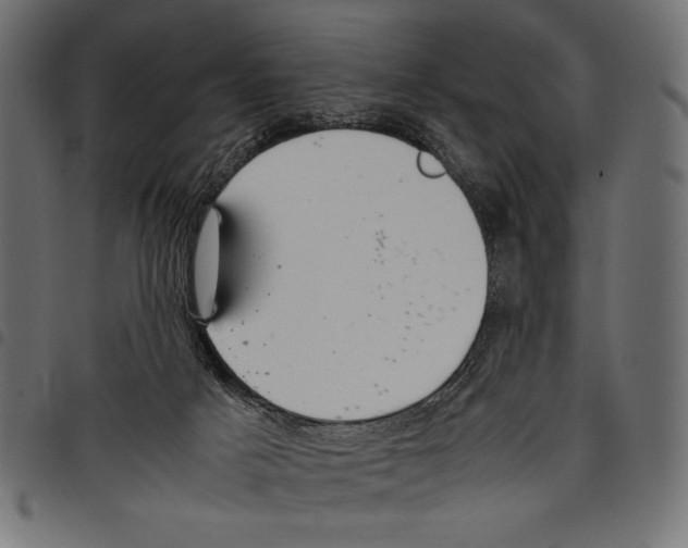 X0000097660025200803281001