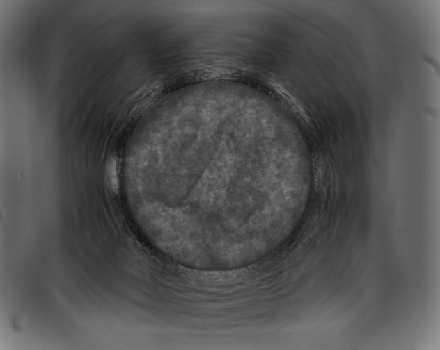 X0000097660026200803281001