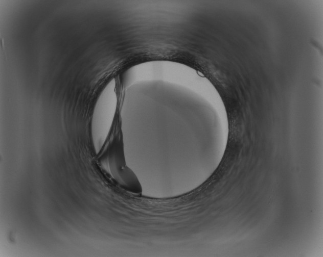 X0000097660027200803281001