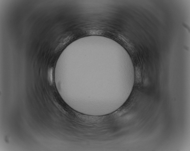 X0000097660028200803281001