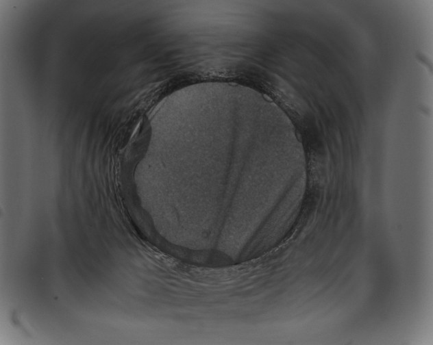 X0000097660029200803281001