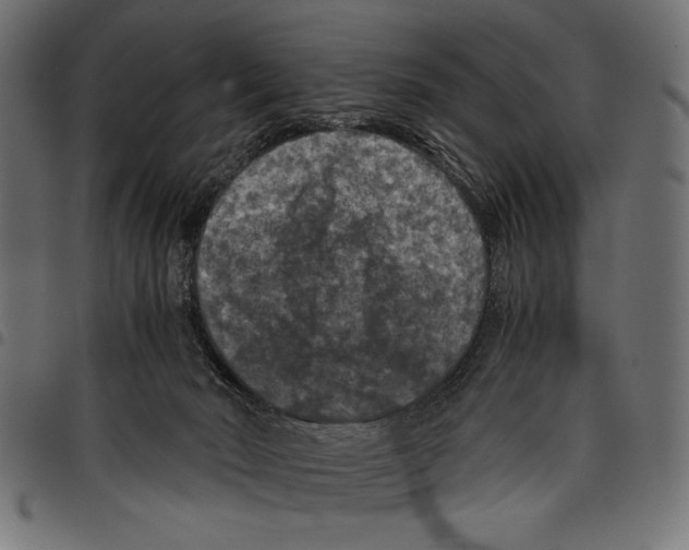 X0000097660030200803281001
